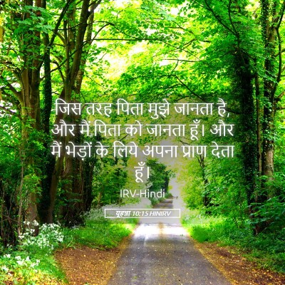 Picture 05 - यूहन्ना 10:15 HINIRV - जिस तरह पिता मुझे - Bible Verse Picture