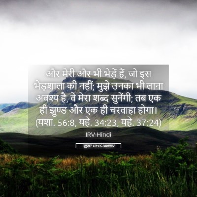 Picture 05 - यूहन्ना 10:16 HINIRV - और मेरी और भी - Bible Verse Picture