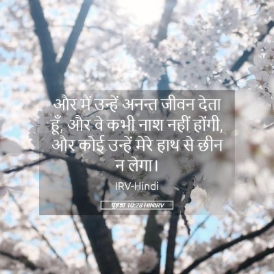 Picture 05 - यूहन्ना 10:28 HINIRV - और मैं उन्हें - Bible Verse Picture