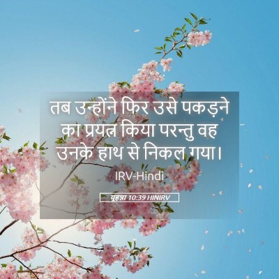 Picture 05 - यूहन्ना 10:39 HINIRV - तब उन्होंने फिर - Bible Verse Picture