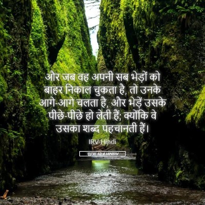 Picture 05 - यूहन्ना 10:4 HINIRV - और जब वह अपनी सब - Bible Verse Picture