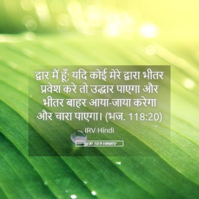 Picture 05 - यूहन्ना 10:9 HINIRV - द्वार मैं हूँ; यदि - Bible Verse Picture