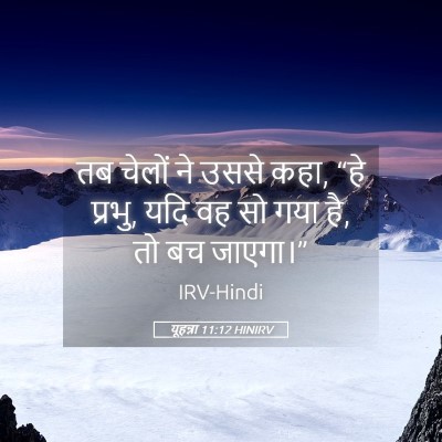 Picture 05 - यूहन्ना 11:12 HINIRV - तब चेलों ने उससे - Bible Verse Picture