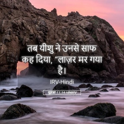 Picture 05 - यूहन्ना 11:14 HINIRV - तब यीशु ने उनसे साफ - Bible Verse Picture