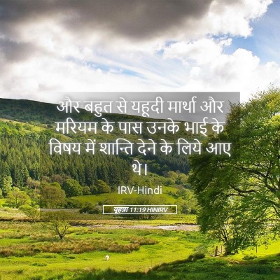 Picture 05 - यूहन्ना 11:19 HINIRV - और बहुत से यहूदी - Bible Verse Picture