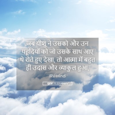Picture 05 - यूहन्ना 11:33 HINIRV - जब यीशु ने उसको और - Bible Verse Picture