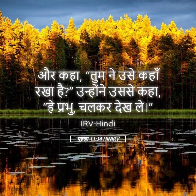 Picture 05 - यूहन्ना 11:34 HINIRV - और कहा, “तुम ने उसे - Bible Verse Picture