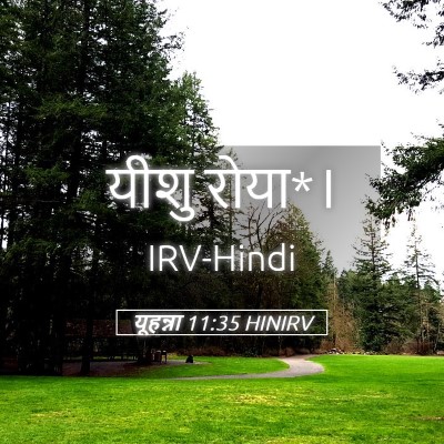 Picture 05 - यूहन्ना 11:35 HINIRV - यीशु - Bible Verse Picture