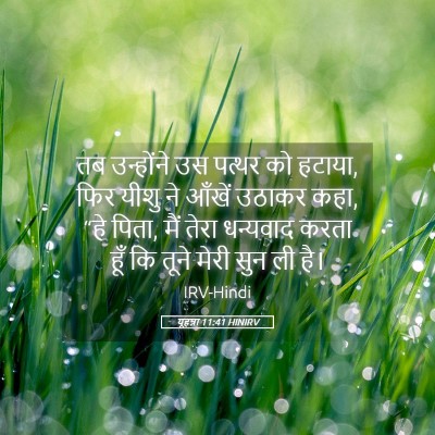 Picture 05 - यूहन्ना 11:41 HINIRV - तब उन्होंने उस - Bible Verse Picture