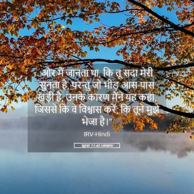 Picture 05 - यूहन्ना 11:42 HINIRV - और मैं जानता था, कि - Bible Verse Picture