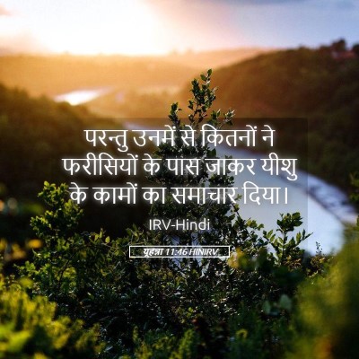 Picture 05 - यूहन्ना 11:46 HINIRV - परन्तु उनमें से - Bible Verse Picture