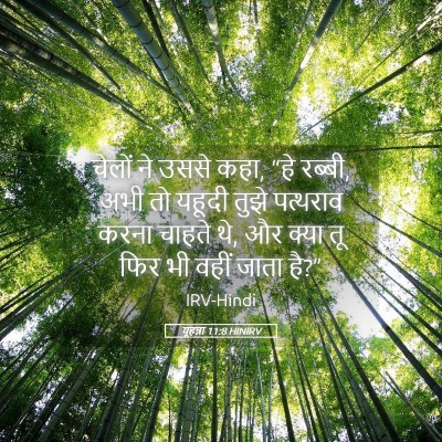 Picture 05 - यूहन्ना 11:8 HINIRV - चेलों ने उससे कहा, - Bible Verse Picture