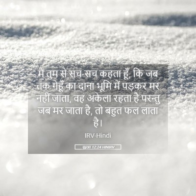 Picture 05 - यूहन्ना 12:24 HINIRV - मैं तुम से सच-सच - Bible Verse Picture