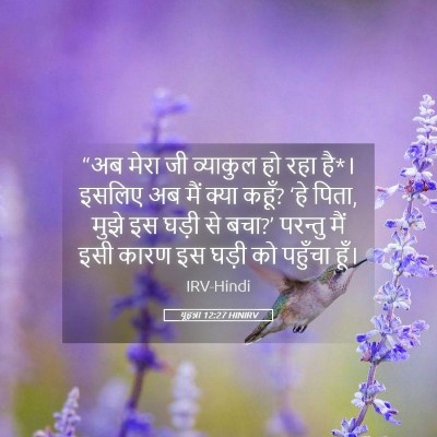 Picture 05 - यूहन्ना 12:27 HINIRV - “अब मेरा जी - Bible Verse Picture