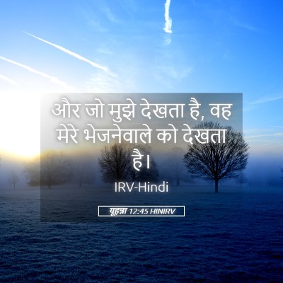 Picture 05 - यूहन्ना 12:45 HINIRV - और जो मुझे देखता - Bible Verse Picture
