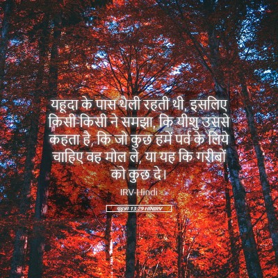 Picture 05 - यूहन्ना 13:29 HINIRV - यहूदा के पास थैली - Bible Verse Picture