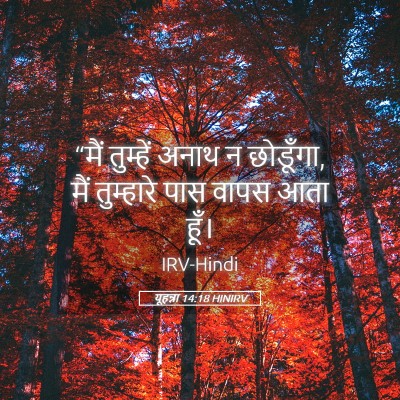 Picture 05 - यूहन्ना 14:18 HINIRV - “मैं तुम्हें अनाथ - Bible Verse Picture
