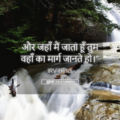 Picture 05 - यूहन्ना 14:4 HINIRV - और जहाँ मैं जाता - Bible Verse Picture
