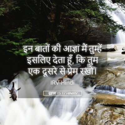 Picture 05 - यूहन्ना 15:17 HINIRV - इन बातों की आज्ञा - Bible Verse Picture