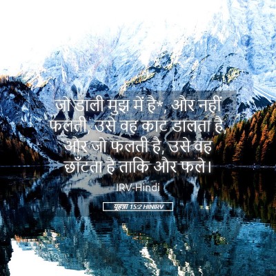 Picture 05 - यूहन्ना 15:2 HINIRV - जो डाली मुझ में है*, - Bible Verse Picture