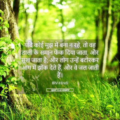Picture 05 - यूहन्ना 15:6 HINIRV - यदि कोई मुझ में बना - Bible Verse Picture