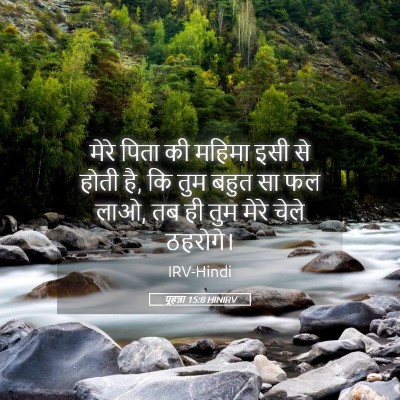 Picture 05 - यूहन्ना 15:8 HINIRV - मेरे पिता की महिमा - Bible Verse Picture