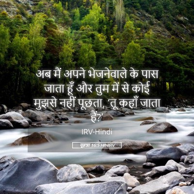 Picture 05 - यूहन्ना 16:5 HINIRV - अब मैं अपने - Bible Verse Picture