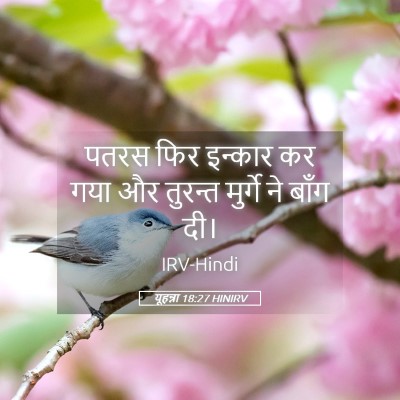 Picture 05 - यूहन्ना 18:27 HINIRV - पतरस फिर इन्कार कर - Bible Verse Picture