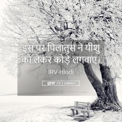 Picture 05 - यूहन्ना 19:1 HINIRV - इस पर पिलातुस ने - Bible Verse Picture
