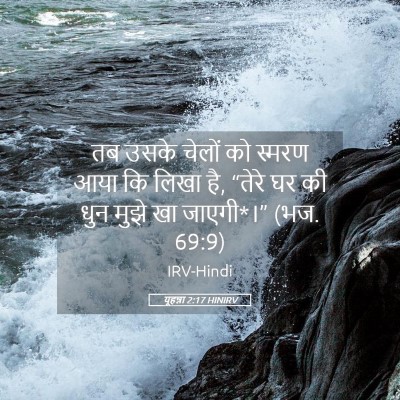 Picture 05 - यूहन्ना 2:17 HINIRV - तब उसके चेलों को - Bible Verse Picture