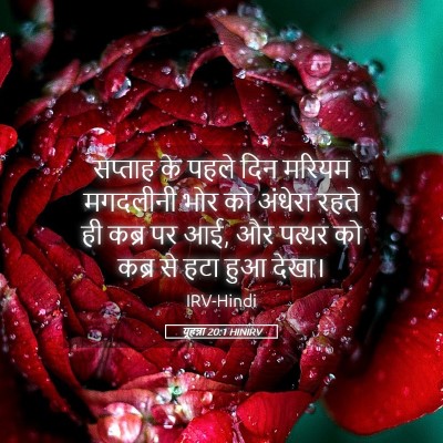 Picture 05 - यूहन्ना 20:1 HINIRV - सप्ताह के पहले दिन - Bible Verse Picture