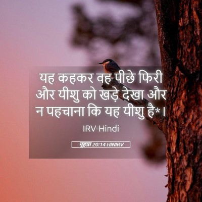 Picture 05 - यूहन्ना 20:14 HINIRV - यह कहकर वह पीछे - Bible Verse Picture