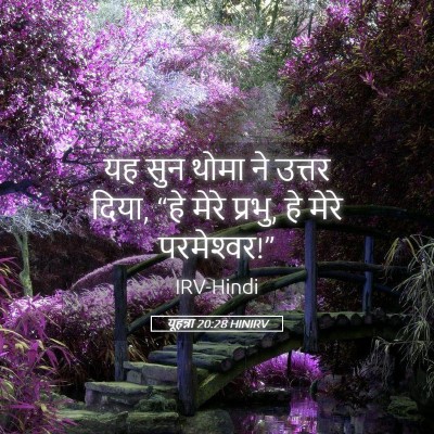 Picture 05 - यूहन्ना 20:28 HINIRV - यह सुन थोमा ने - Bible Verse Picture