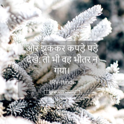 Picture 05 - यूहन्ना 20:5 HINIRV - और झुककर कपड़े - Bible Verse Picture