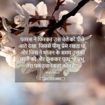 Picture 05 - यूहन्ना 21:20 HINIRV - पतरस ने फिरकर उस - Bible Verse Picture