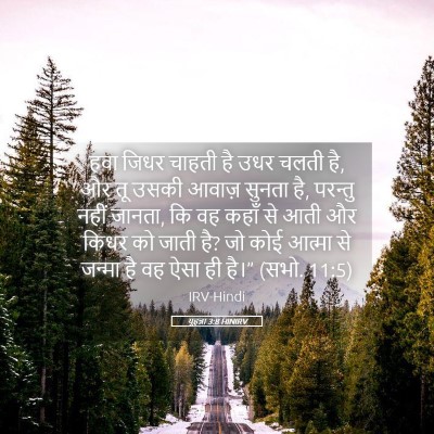 Picture 05 - यूहन्ना 3:8 HINIRV - हवा जिधर चाहती है - Bible Verse Picture