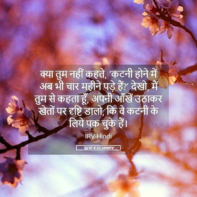 Picture 05 - यूहन्ना 4:35 HINIRV - क्या तुम नहीं कहते, - Bible Verse Picture