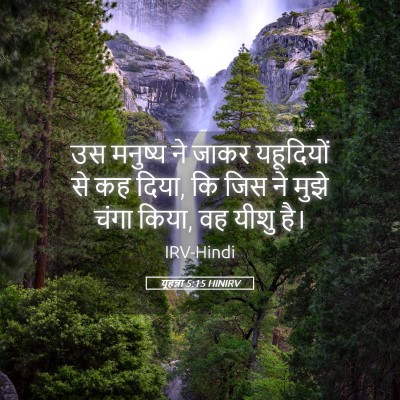 Picture 05 - यूहन्ना 5:15 HINIRV - उस मनुष्य ने जाकर - Bible Verse Picture