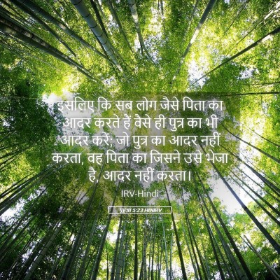 Picture 05 - यूहन्ना 5:23 HINIRV - इसलिए कि सब लोग - Bible Verse Picture
