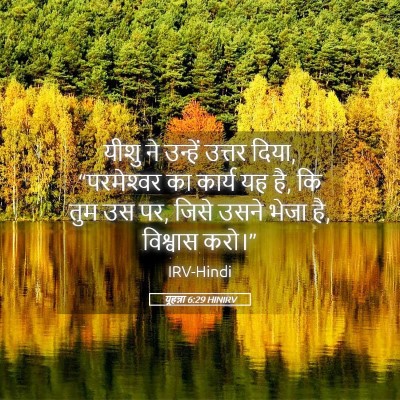 Picture 05 - यूहन्ना 6:29 HINIRV - यीशु ने उन्हें - Bible Verse Picture