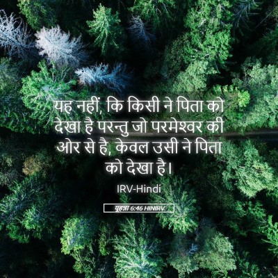 Picture 05 - यूहन्ना 6:46 HINIRV - यह नहीं, कि किसी ने - Bible Verse Picture