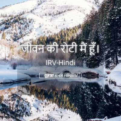 Picture 05 - यूहन्ना 6:48 HINIRV - जीवन की रोटी मैं - Bible Verse Picture