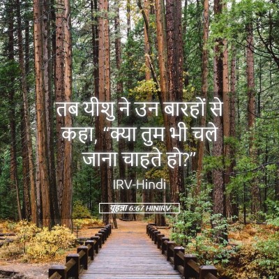 Picture 05 - यूहन्ना 6:67 HINIRV - तब यीशु ने उन - Bible Verse Picture