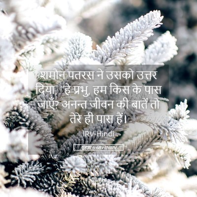 Picture 05 - यूहन्ना 6:68 HINIRV - शमौन पतरस ने उसको - Bible Verse Picture