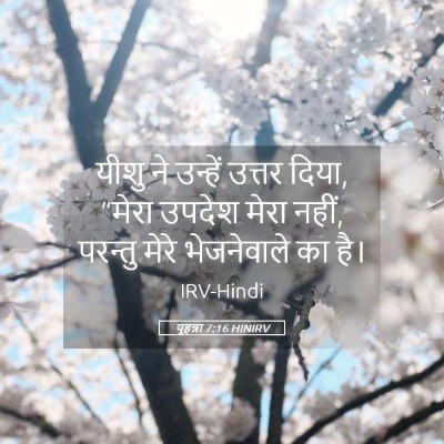 Picture 05 - यूहन्ना 7:16 HINIRV - यीशु ने उन्हें - Bible Verse Picture