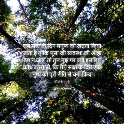 Picture 05 - यूहन्ना 7:23 HINIRV - जब सब्त के दिन - Bible Verse Picture