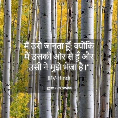 Picture 05 - यूहन्ना 7:29 HINIRV - मैं उसे जानता हूँ; - Bible Verse Picture