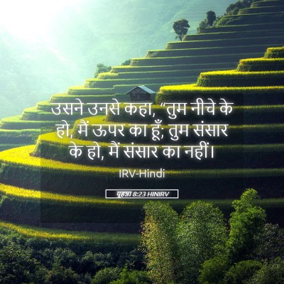 Picture 05 - यूहन्ना 8:23 HINIRV - उसने उनसे कहा, “तुम - Bible Verse Picture