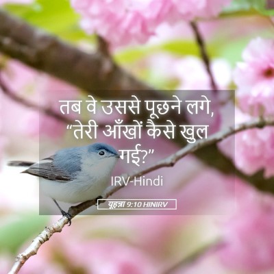 Picture 05 - यूहन्ना 9:10 HINIRV - तब वे उससे पूछने - Bible Verse Picture
