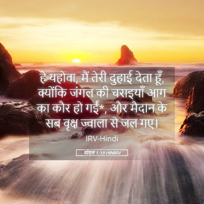 Picture 05 - योएल 1:19 HINIRV - हे यहोवा, मैं तेरी - Bible Verse Picture